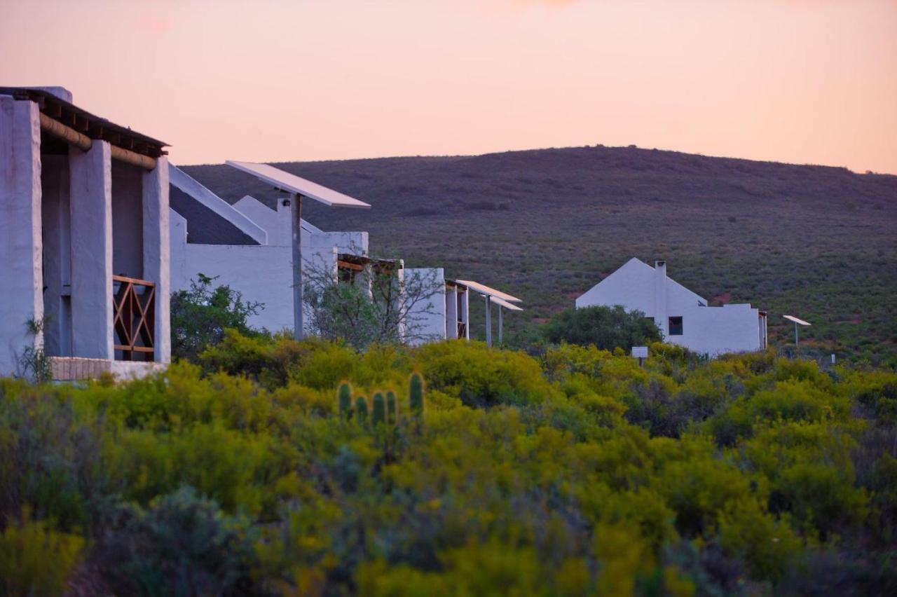 African Game Lodge Montagu Luaran gambar