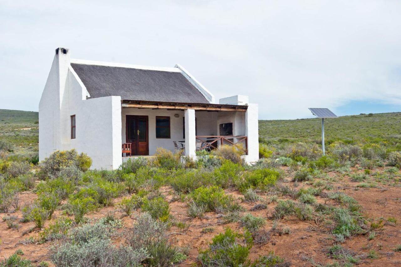 African Game Lodge Montagu Luaran gambar