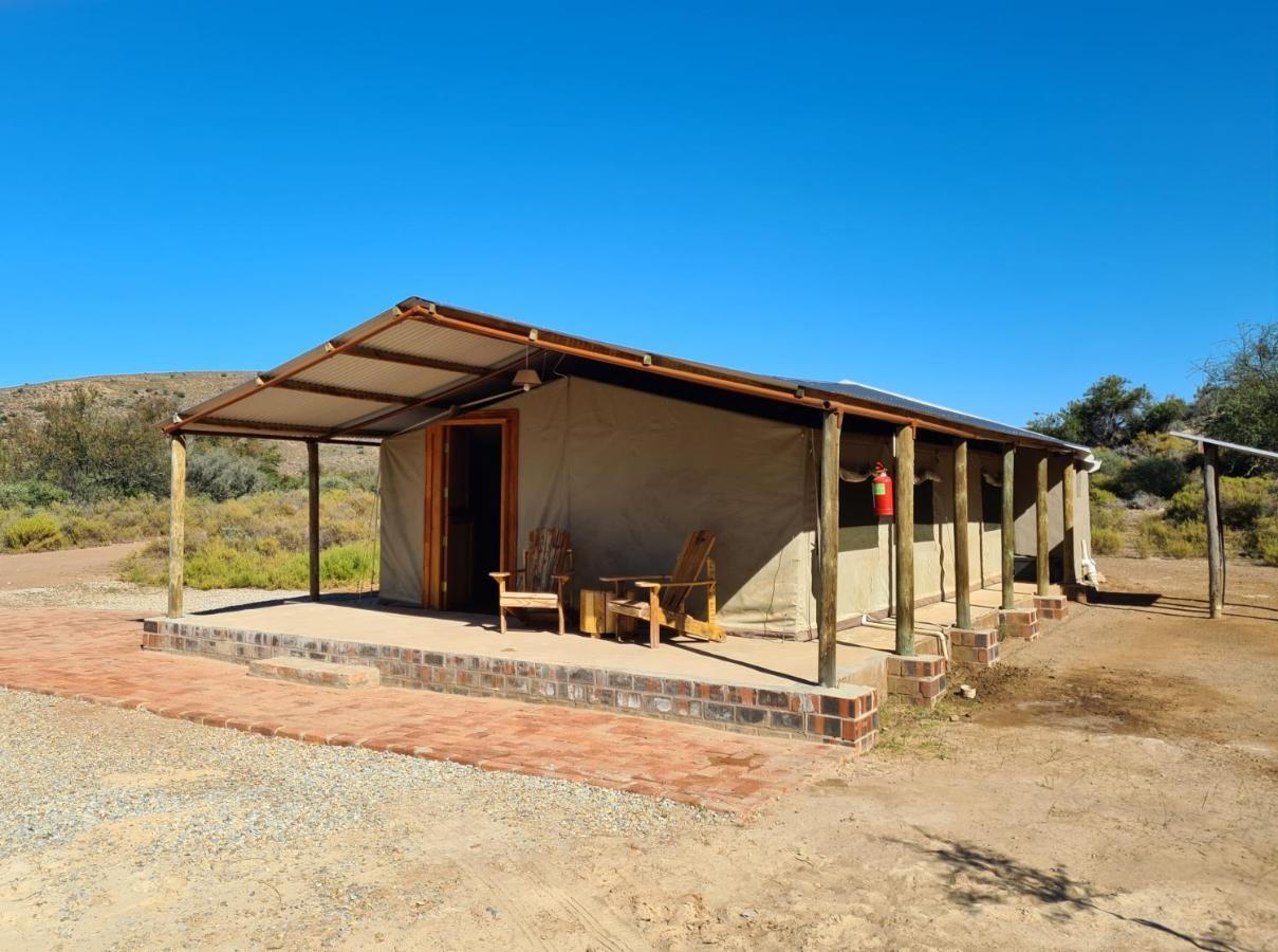 African Game Lodge Montagu Luaran gambar