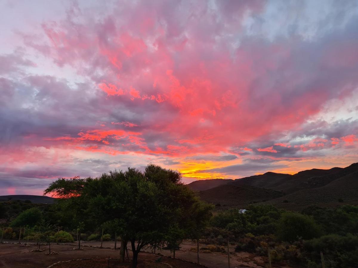 African Game Lodge Montagu Luaran gambar