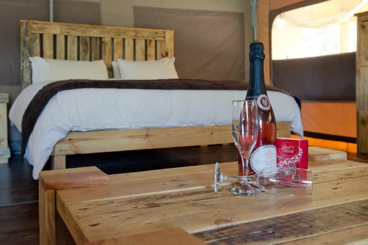 African Game Lodge Montagu Luaran gambar
